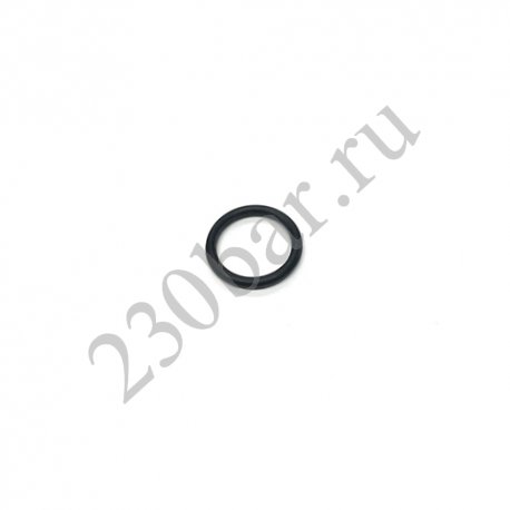 120776 Уплотнительное кольцо GX21, GX FF GRACO