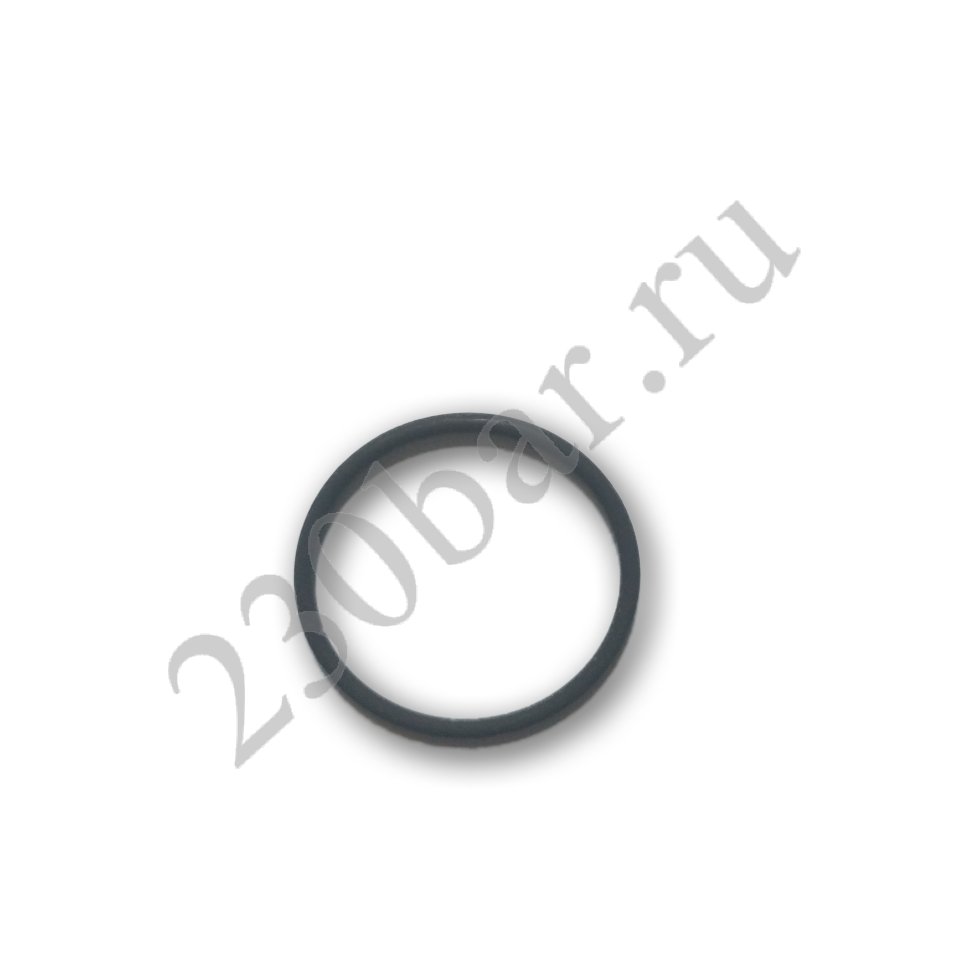 110073 Уплотнительное кольцо HVLP GRACO